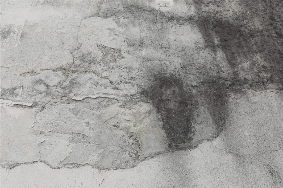 Фотошпалери структура в попелястих тонах