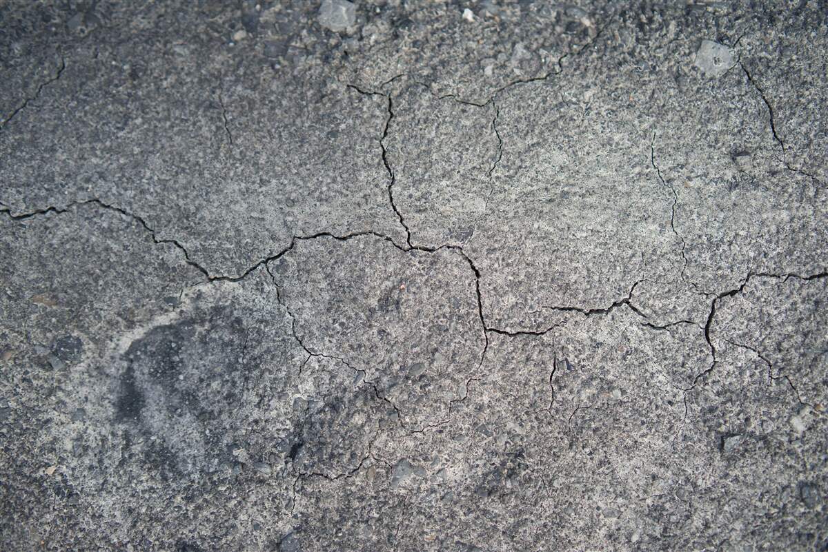 Фотошпалери сухість ґрунту