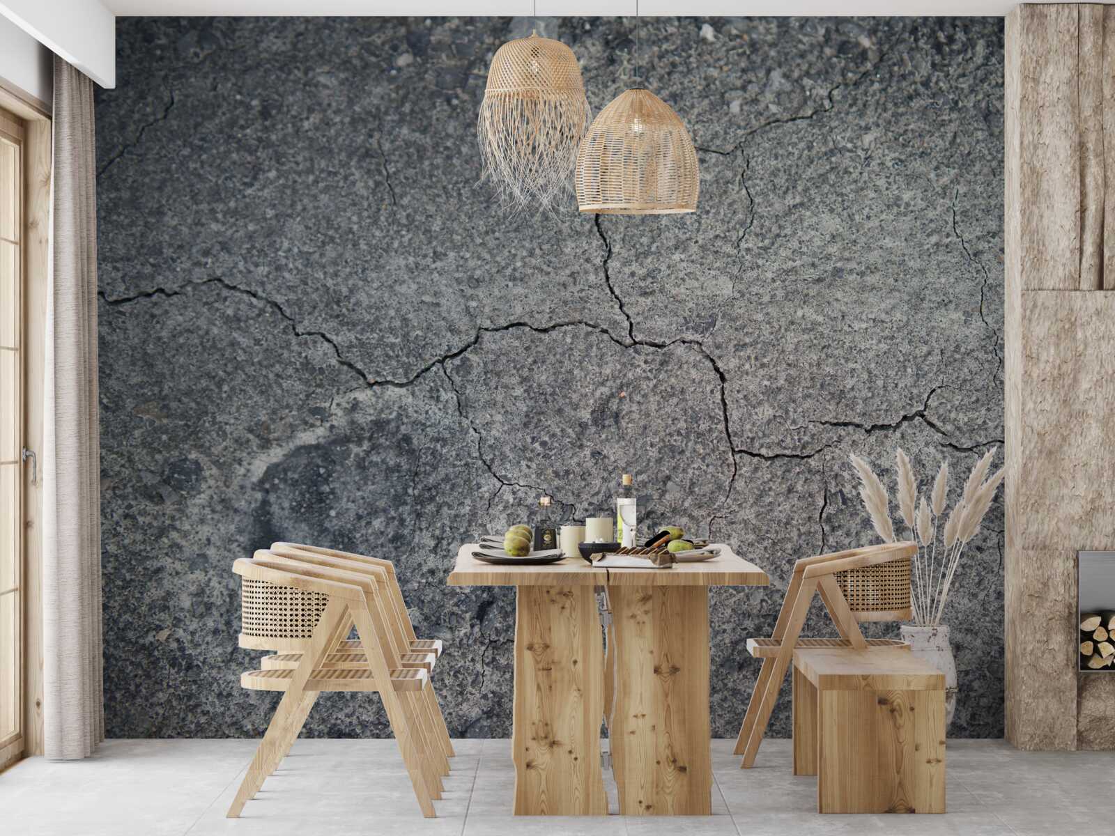 Фотошпалери сухість ґрунту