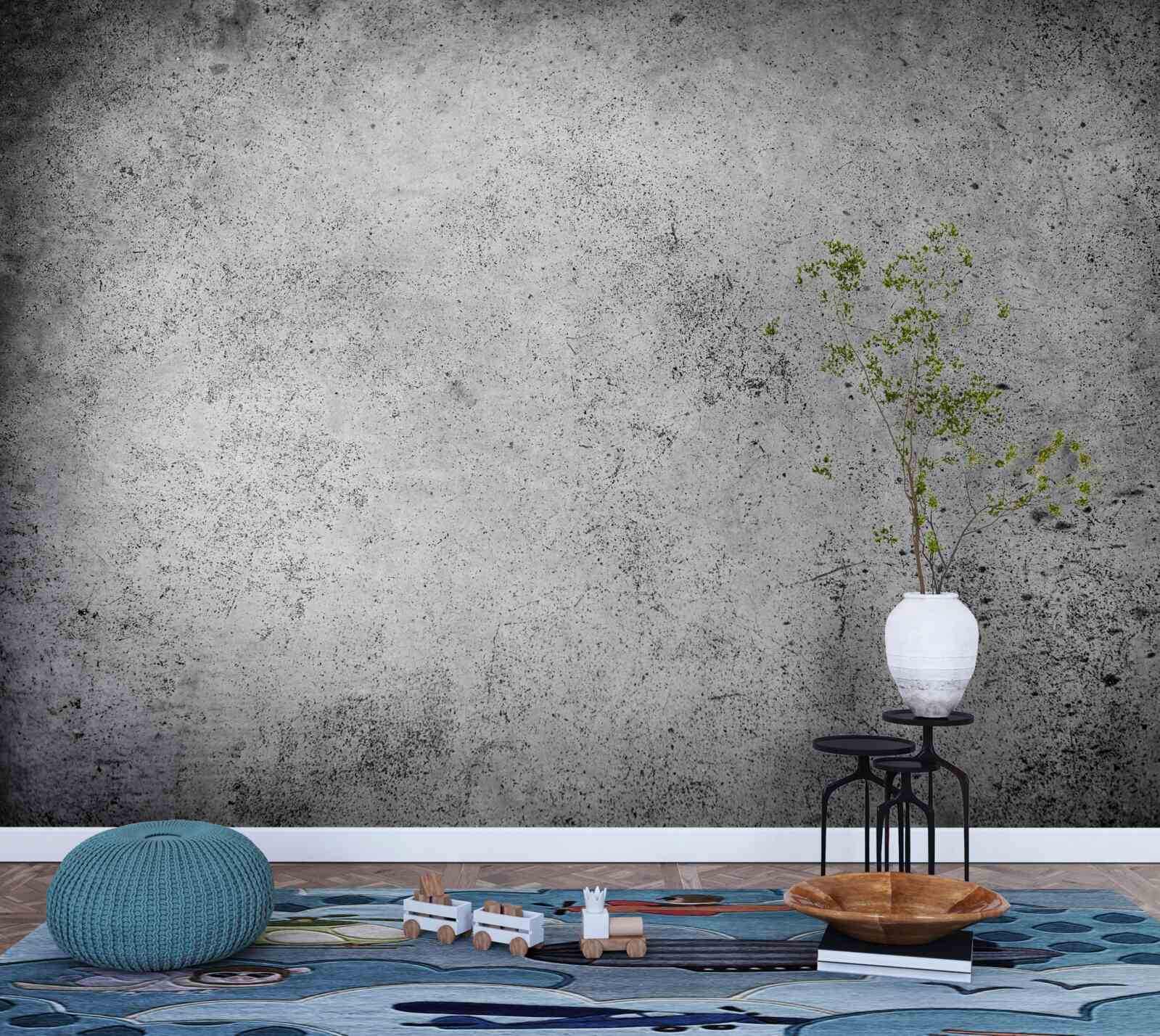 Фотошпалери стародавній сірий бар'єр