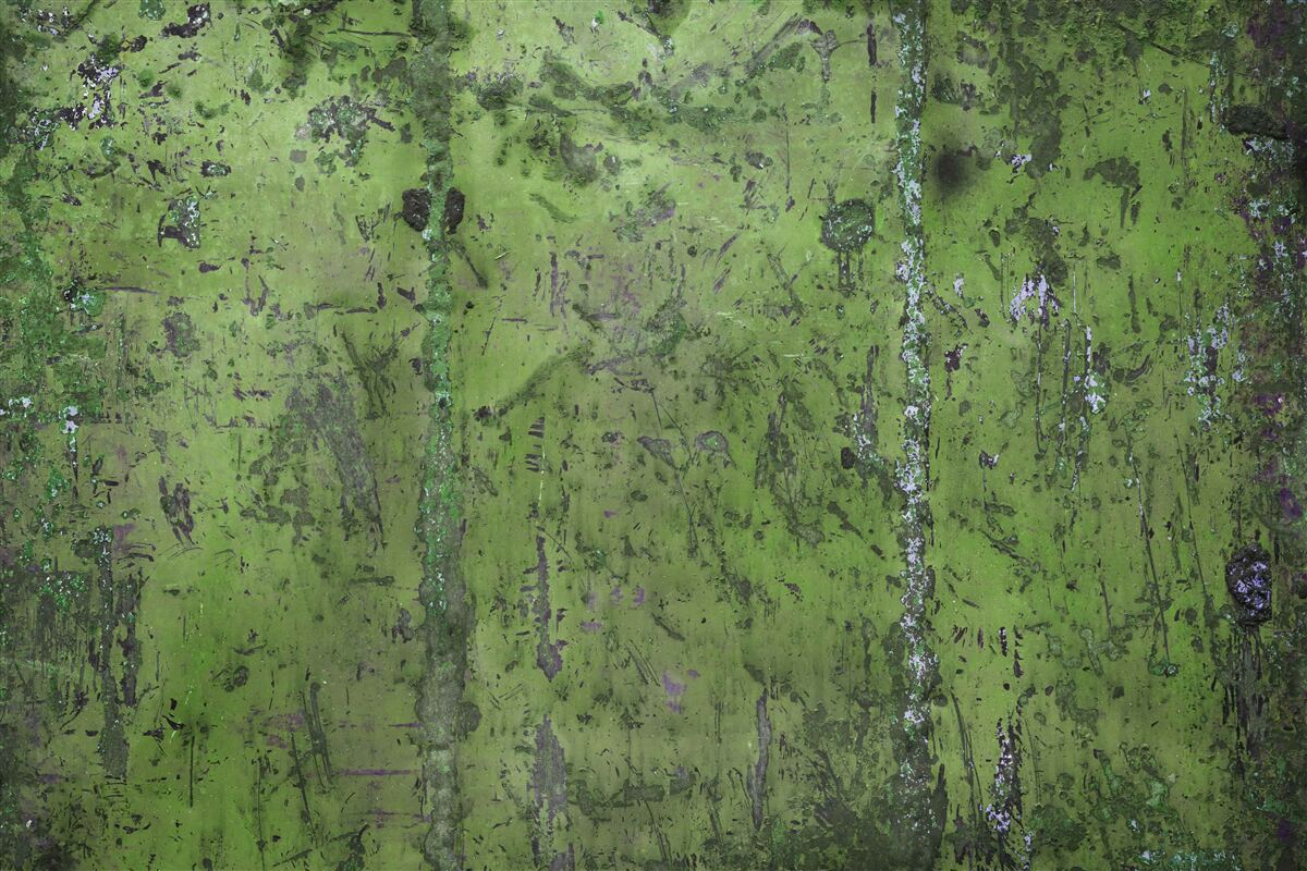 Фотошпалери Стіна вкрита зеленою іржею