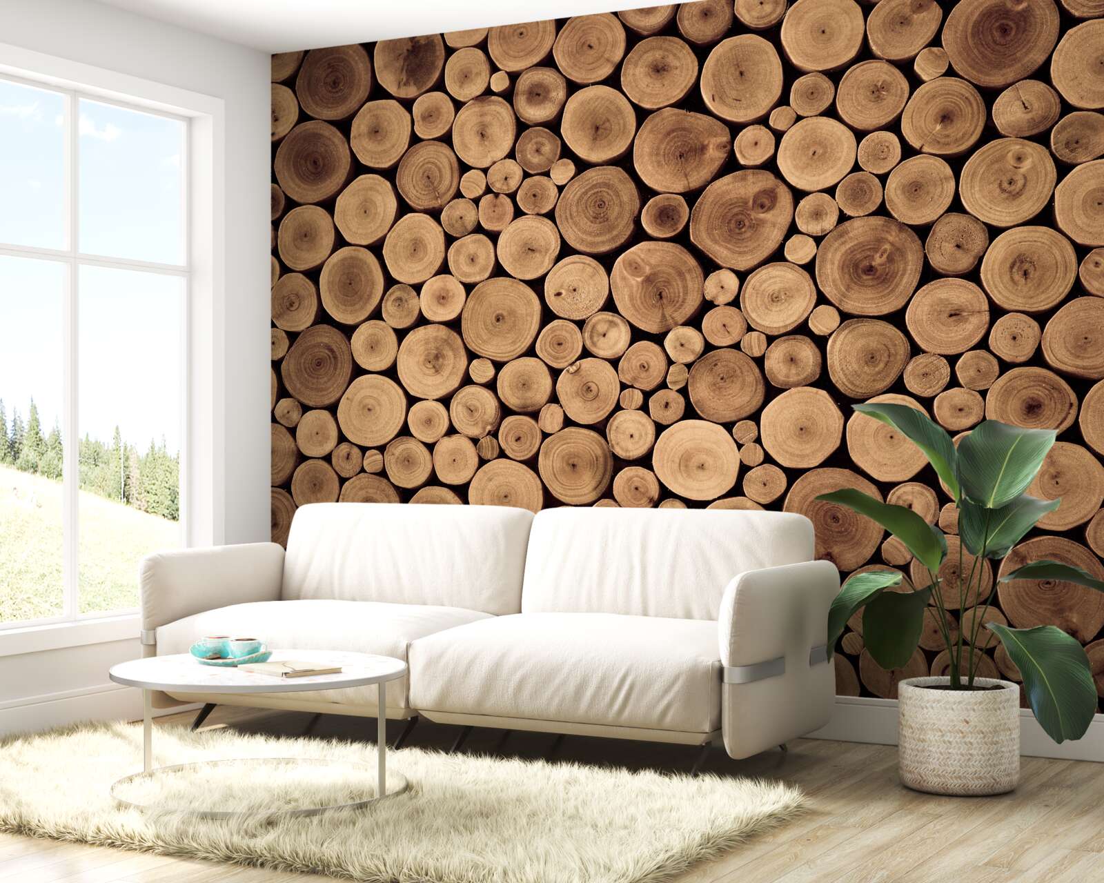 Фотошпалери акуратно обрізати круглі стовбури дерев