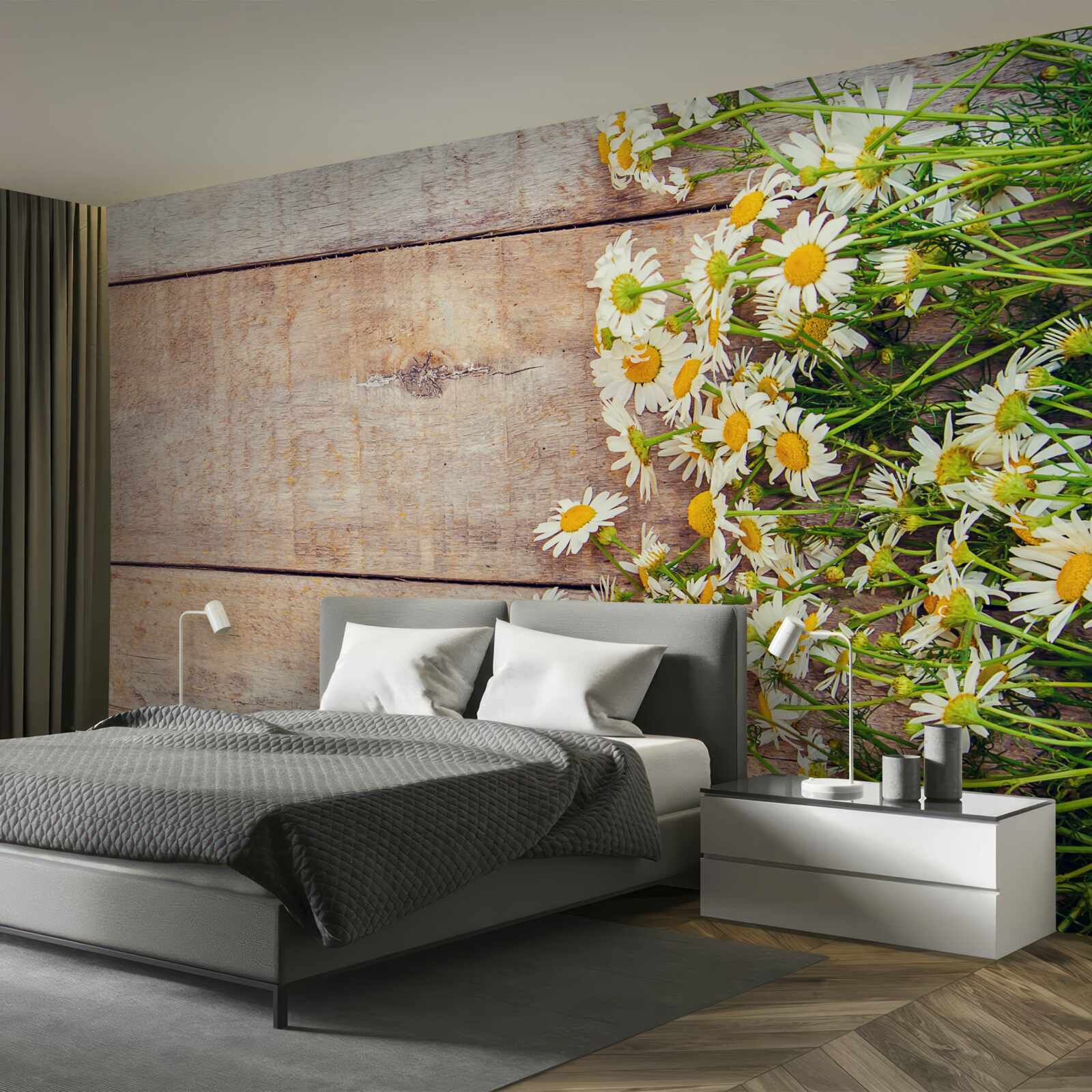 Фотошпалери кілька ромашок на танцполі