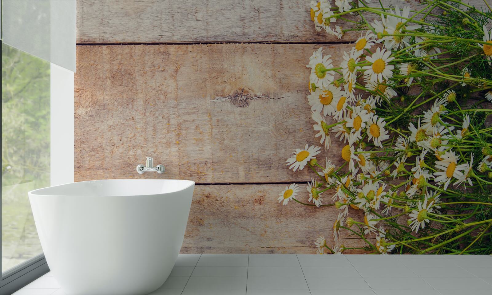 Фотошпалери кілька ромашок на танцполі