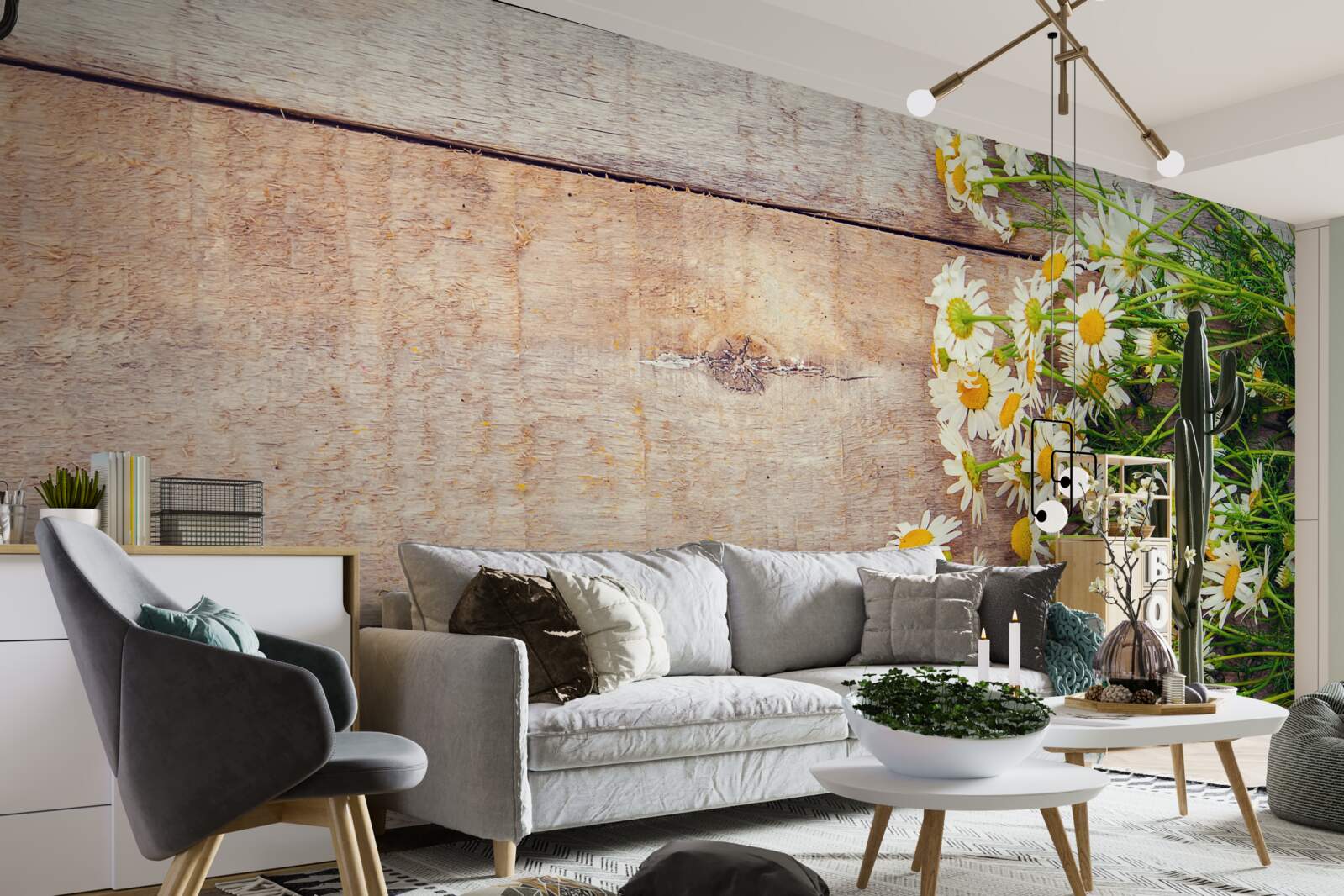 Фотошпалери кілька ромашок на танцполі