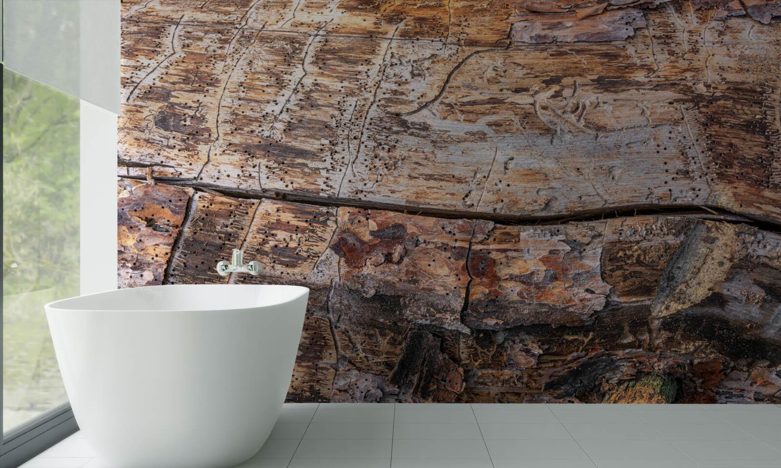 Фотошпалери структура гниючого деревного матеріалу