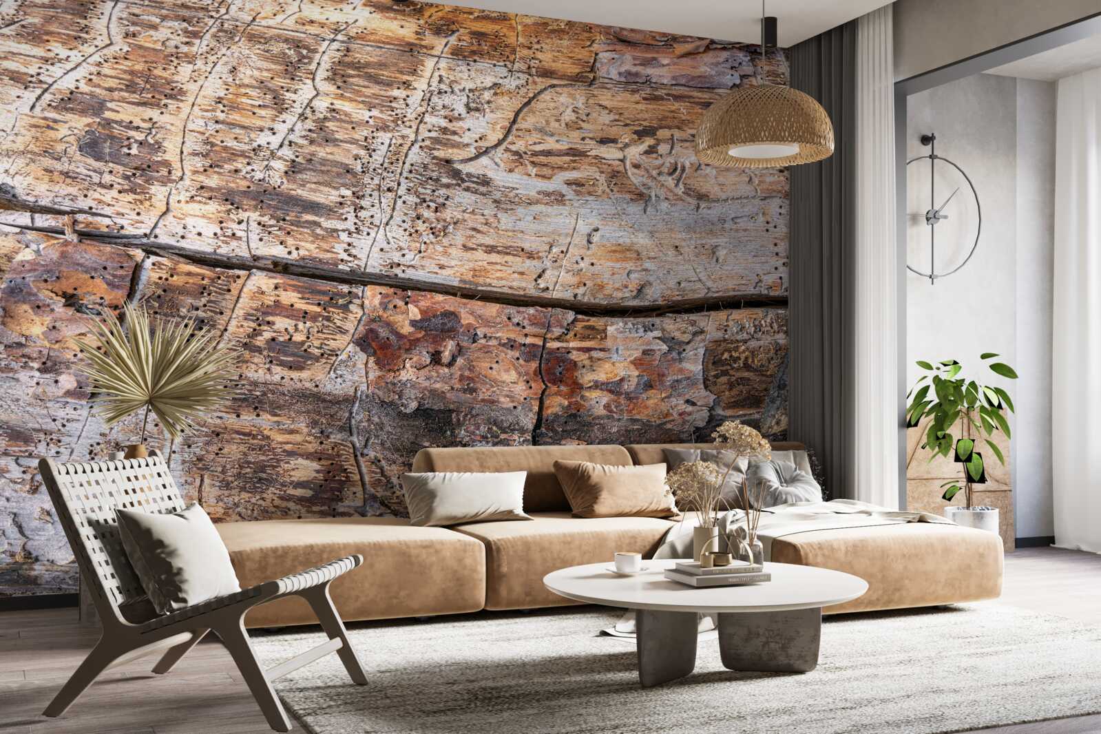 Фотошпалери структура гниючого деревного матеріалу