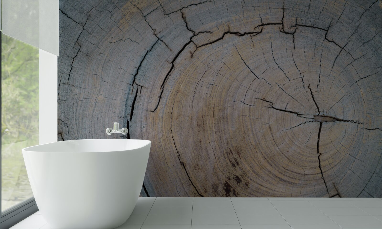 Фотошпалери детальний вигляд стовбура дерева