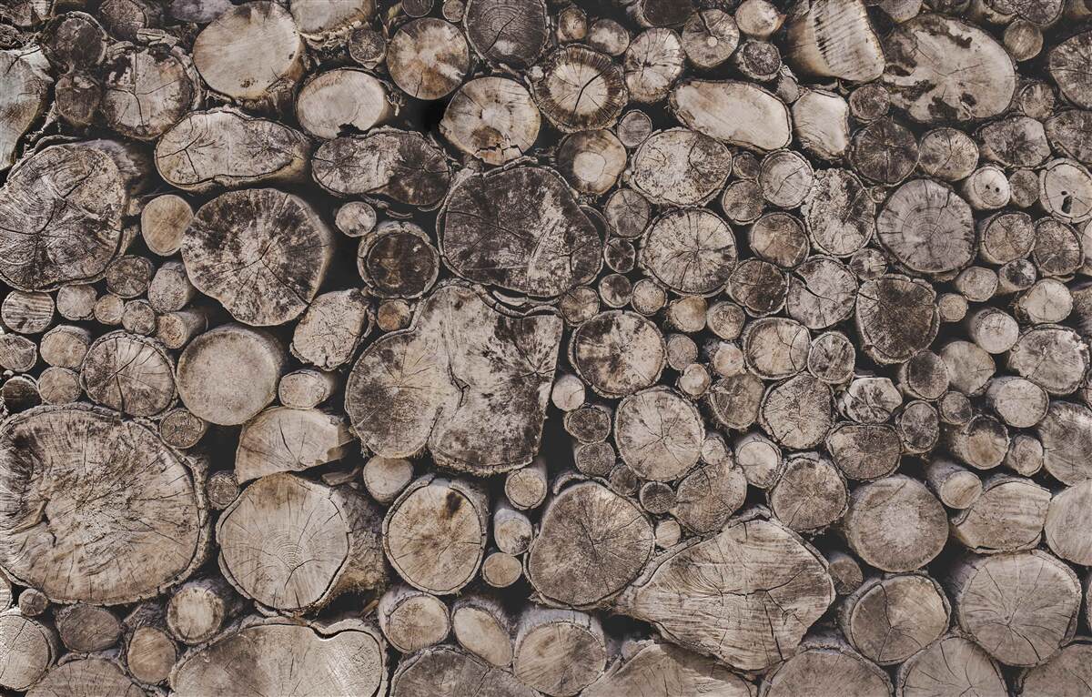 Фотошпалери неочищені шматки деревини