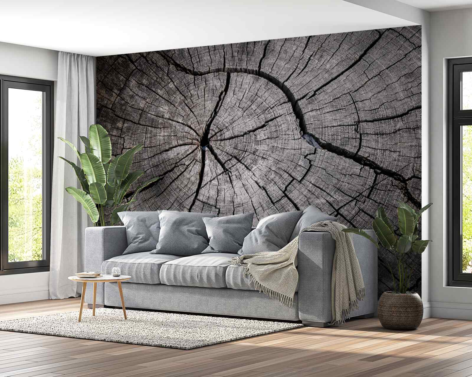 Фотошпалери по старій деревині пробігають тріщини