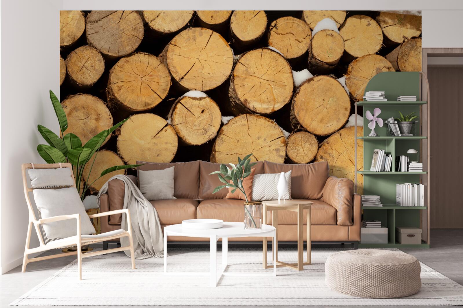 Фотошпалери дбайлива вирубка дерев