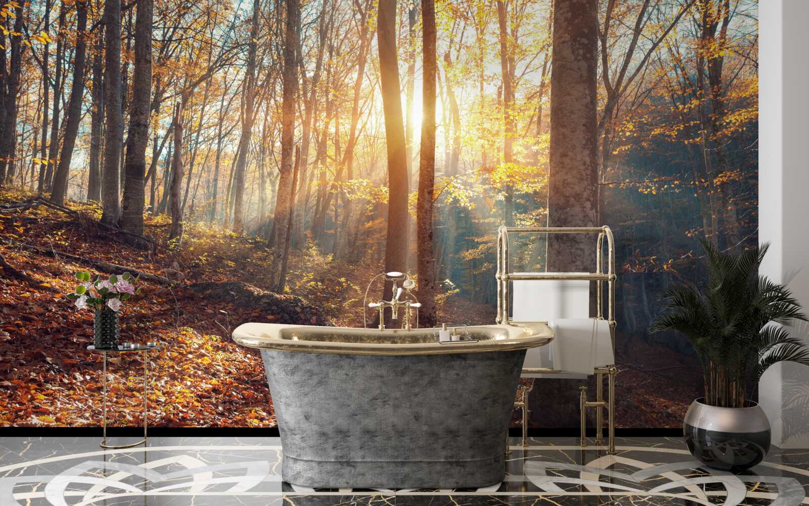 Фотошпалери ранковий ліс, оповитий туманом, відчуває тепло сонця