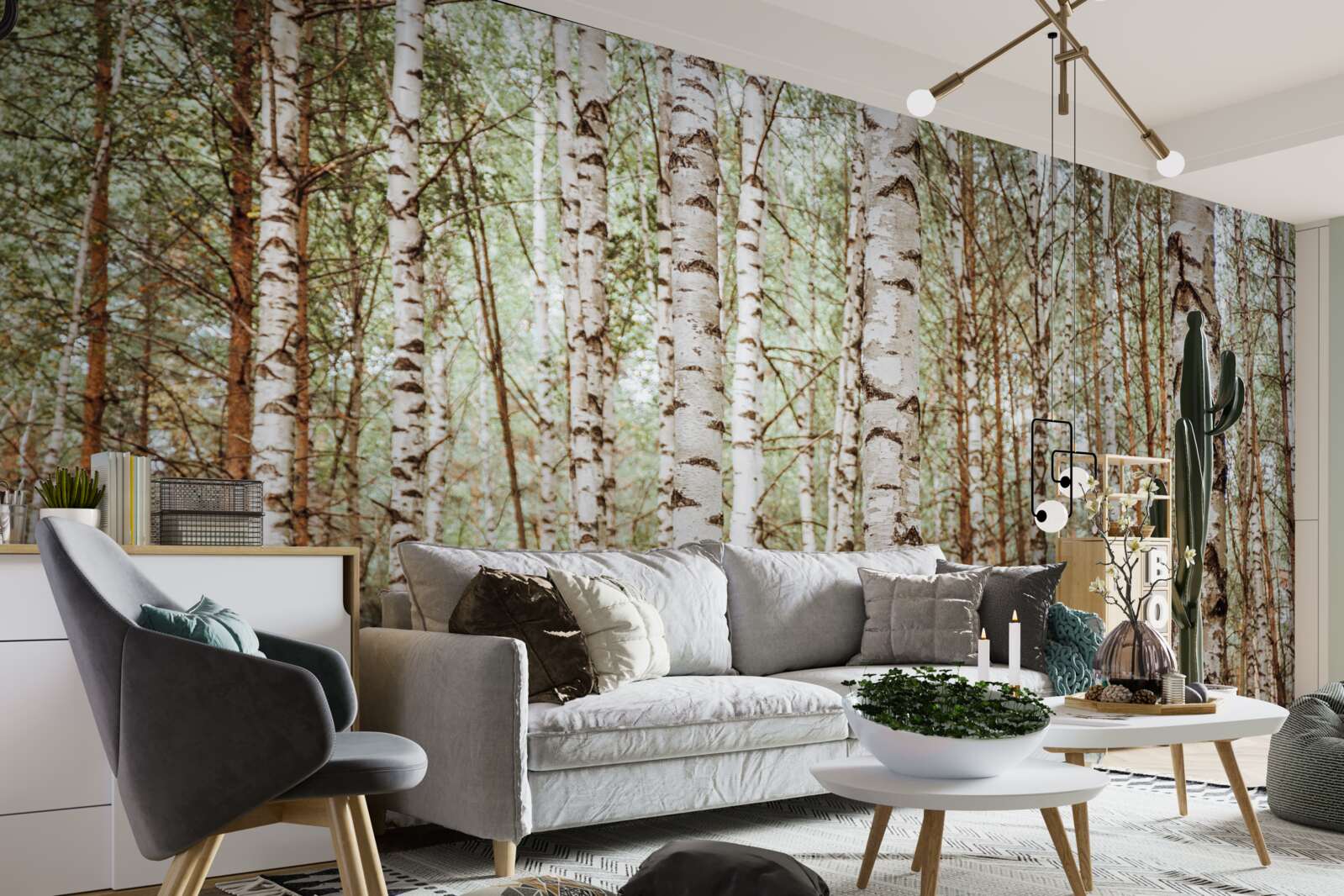 Фотошпалери у зеленому лісі стоять санні берези