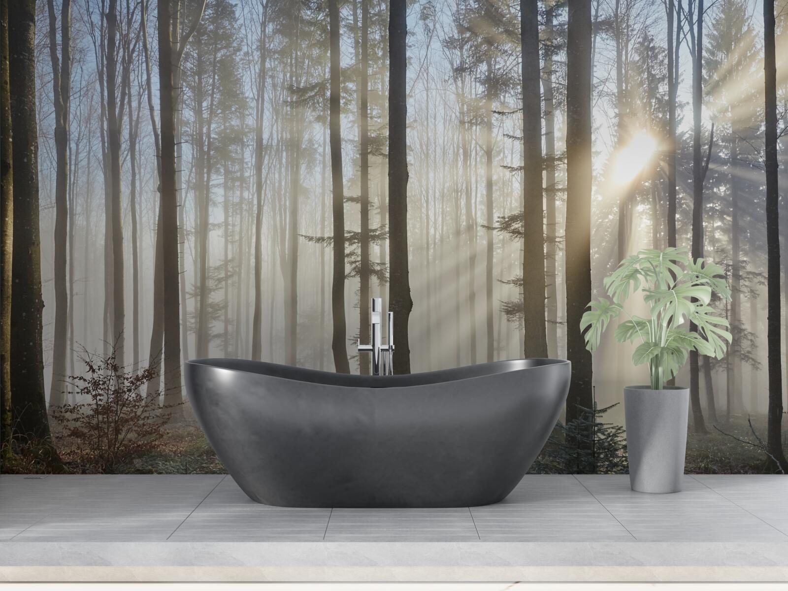 Фотошпалери сонячні промені пронизують туман у заростях дерев