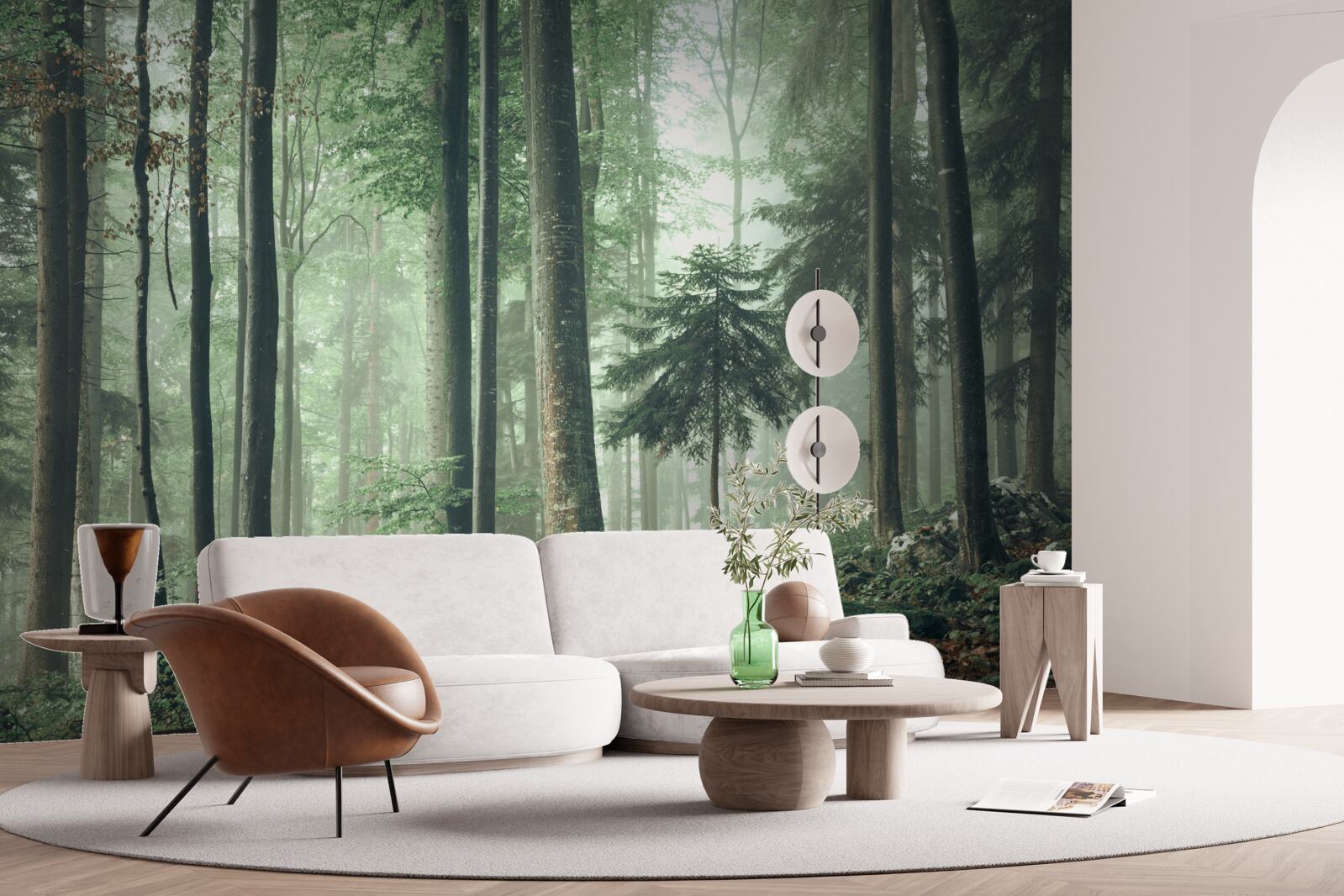 Фотошпалери Світло крізь туман у лісі листяних дерев