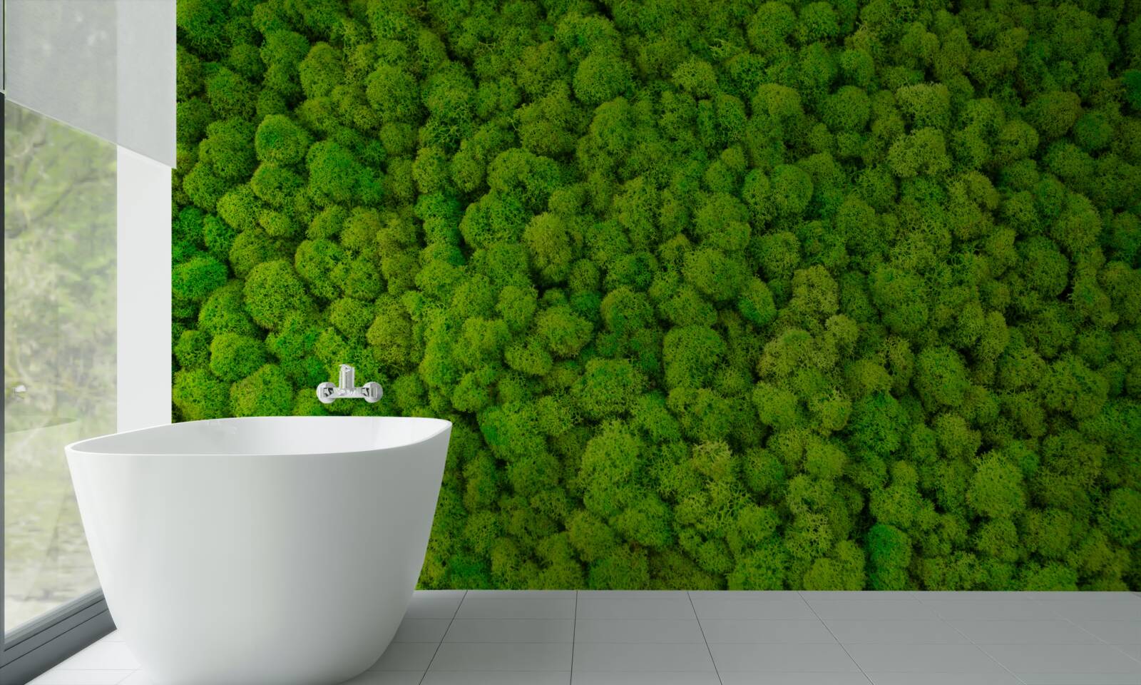 Фотошпалери густі верхівки зелених лісових велетнів