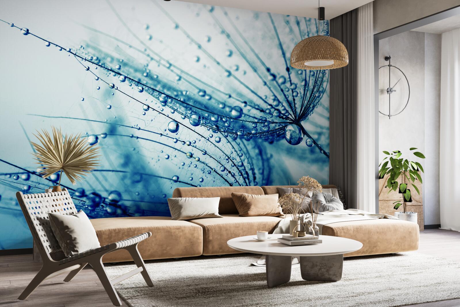 Фотошпалери краплі кульбаби