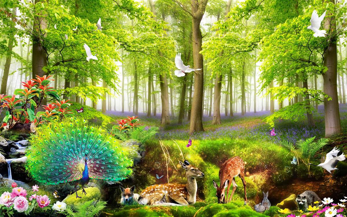 Фотошпалери фауна зелених літніх лісів