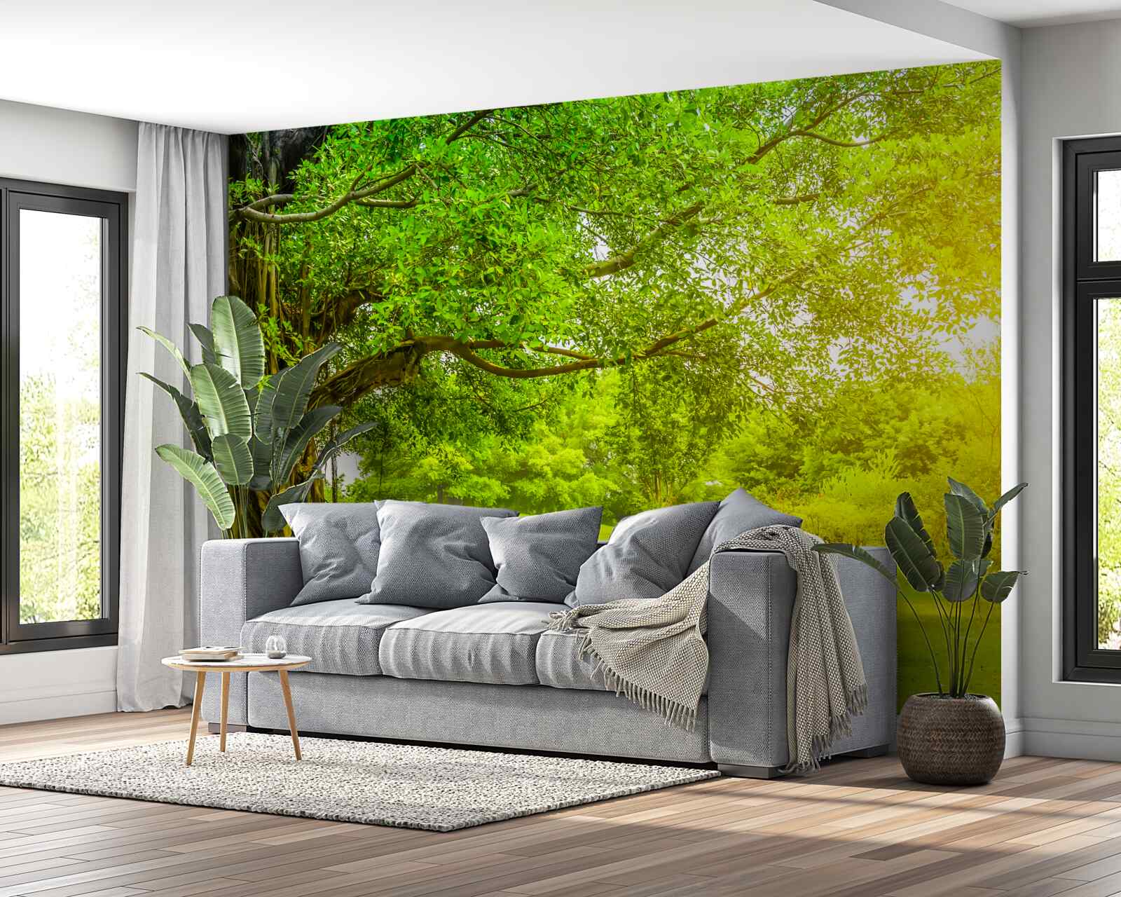 Фотошпалери світла галявина, освітлена сонцем і помітна своїм зеленим кольором