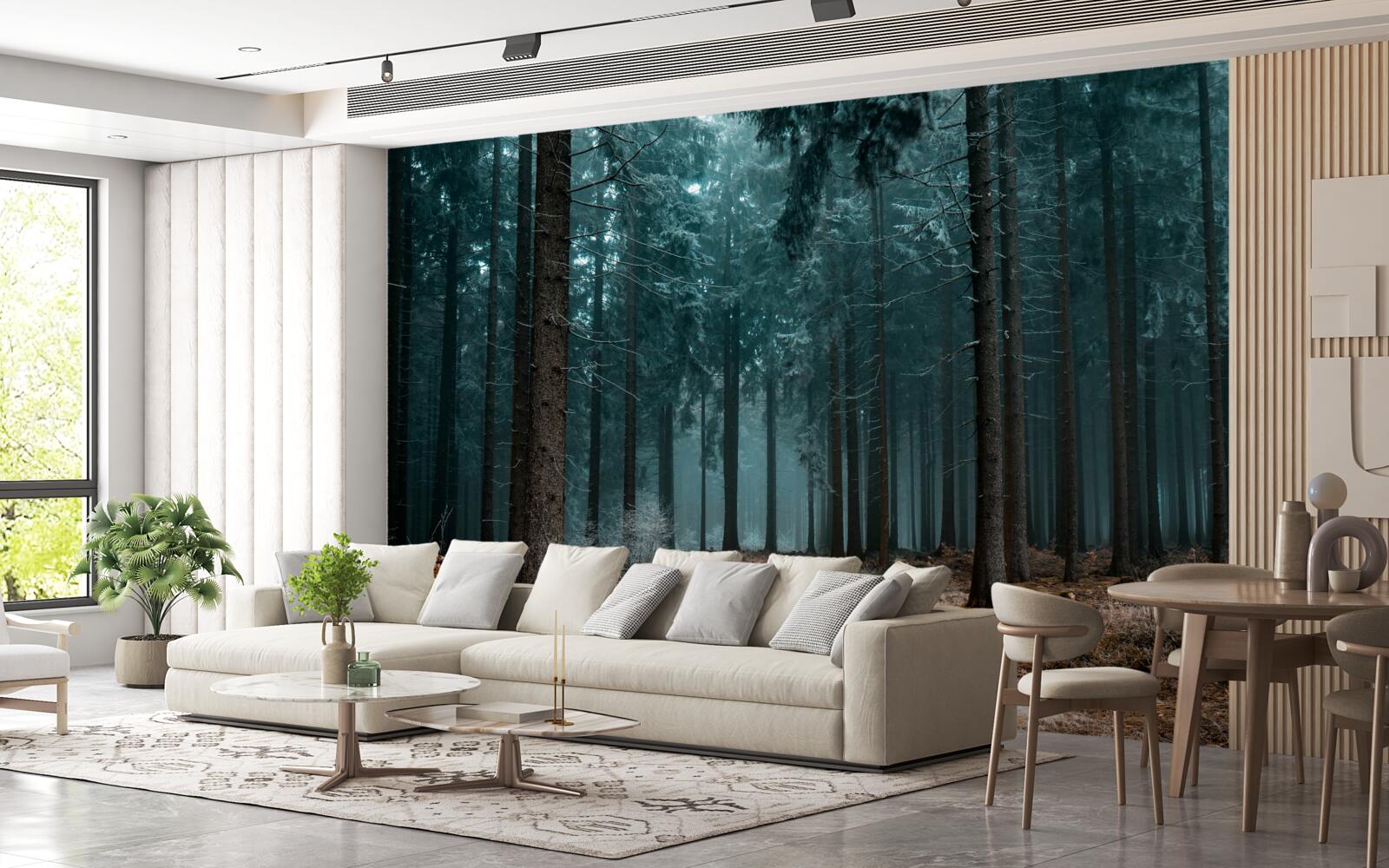 Фотошпалери цінна стежка в густий туманний ліс