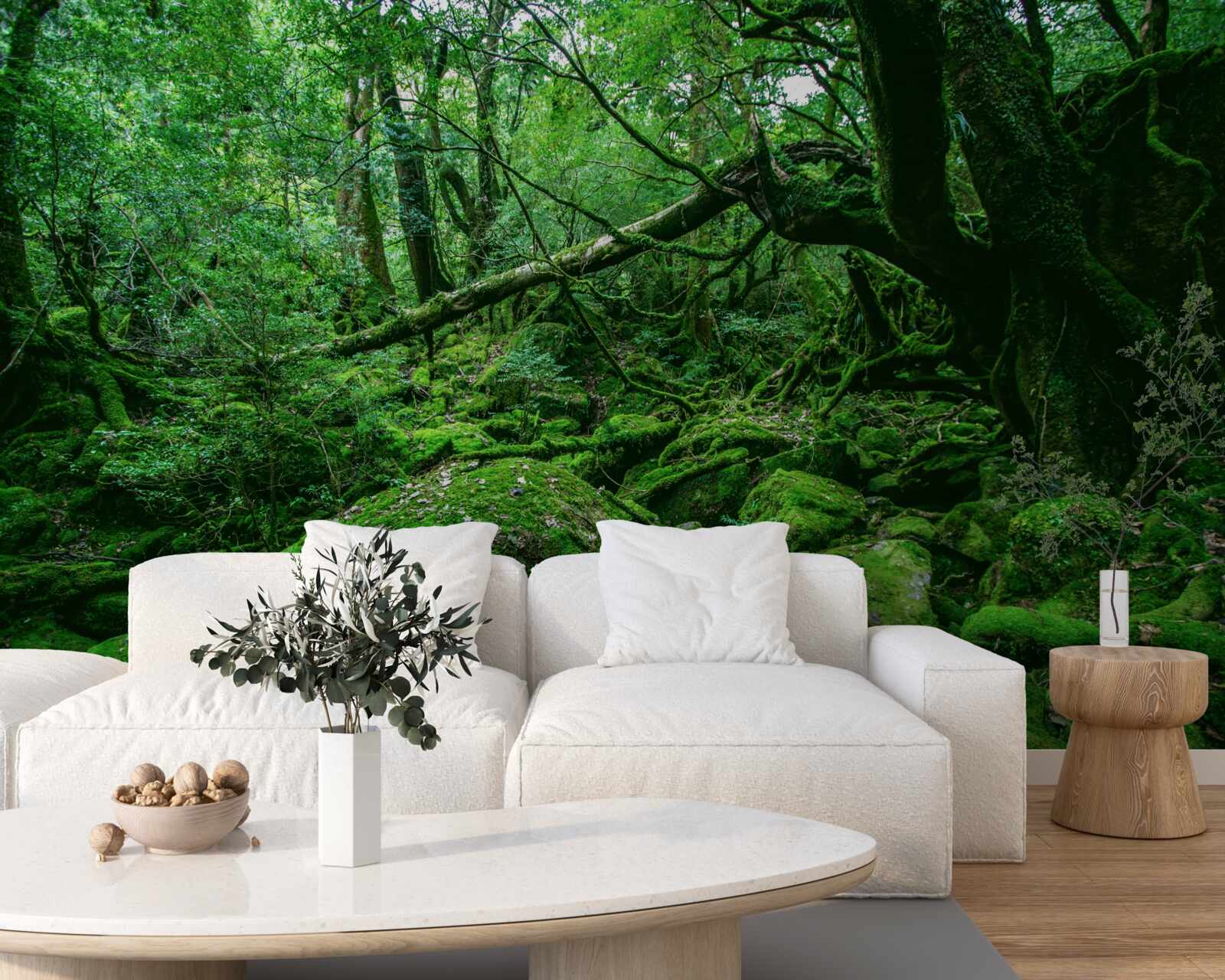 Фотошпалери ліс, рясно зелений, без сонячного світла