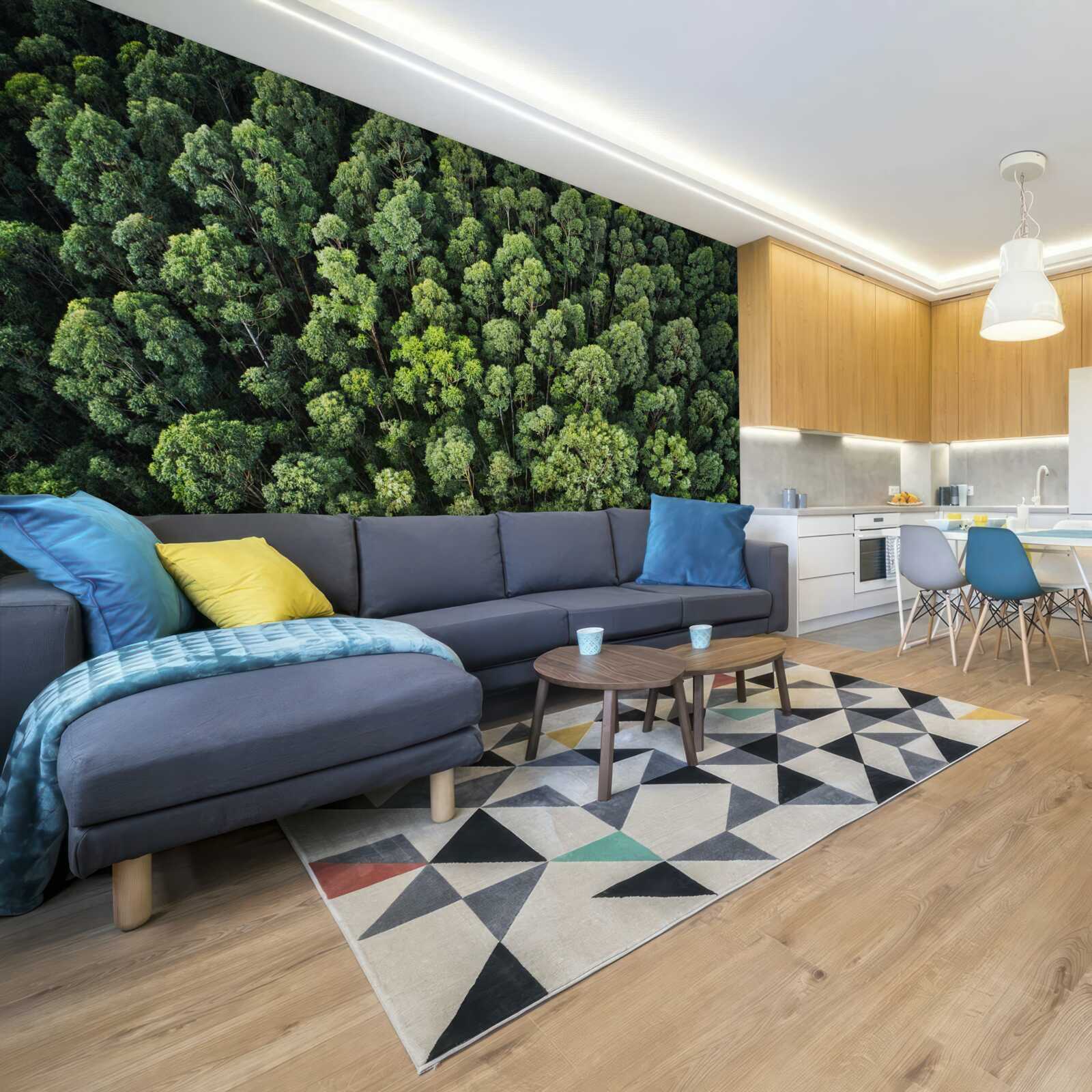 Фотошпалери лісові дерева із зеленими кронами