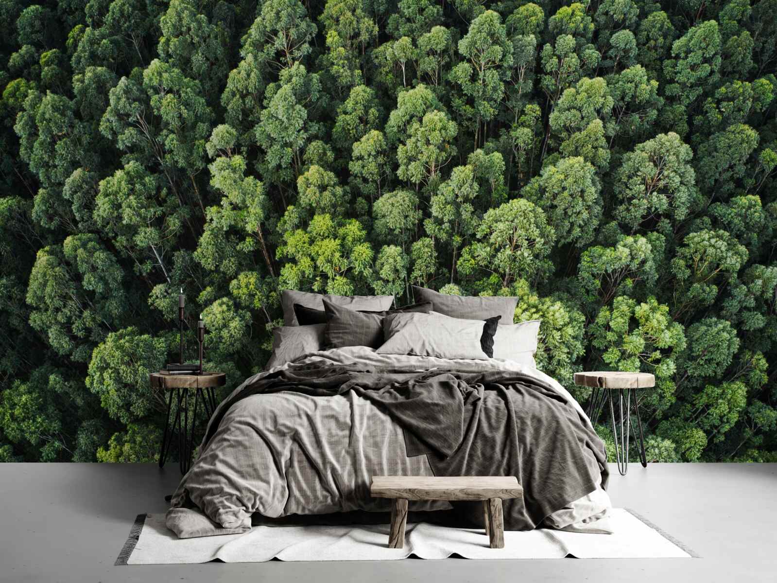 Фотошпалери лісові дерева із зеленими кронами