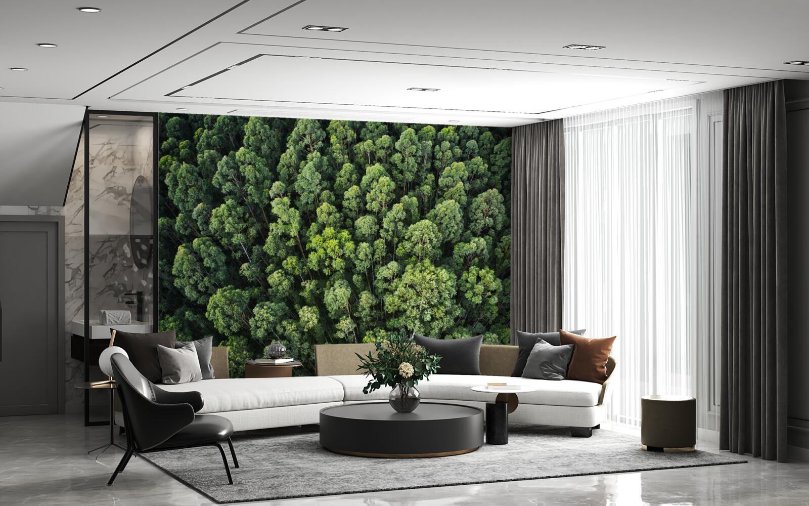 Фотошпалери лісові дерева із зеленими кронами