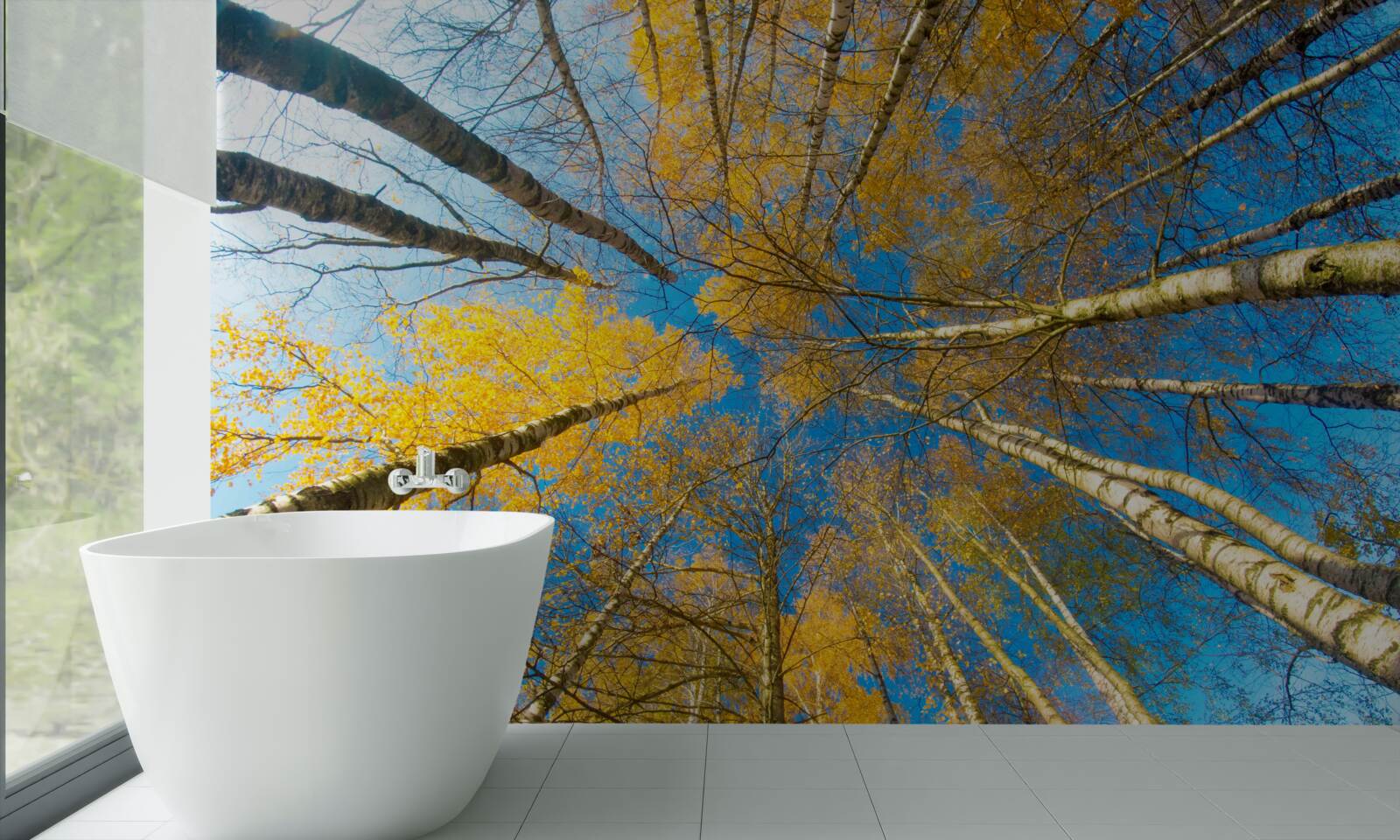 Фотошпалери верхівки високих дерев пофарбовані в жовтий колір