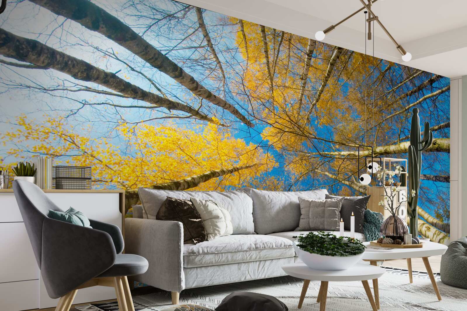 Фотошпалери верхівки високих дерев пофарбовані в жовтий колір