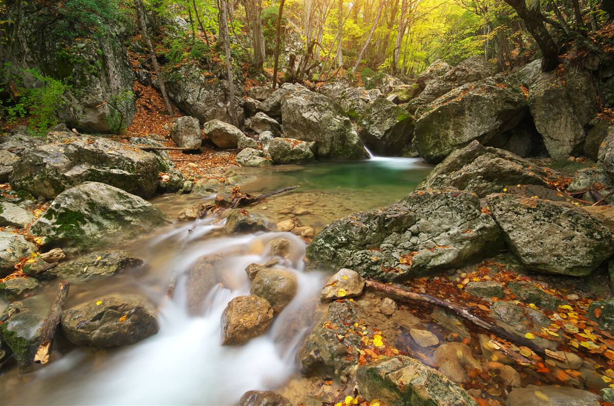 Фотошпалери течія річки восени