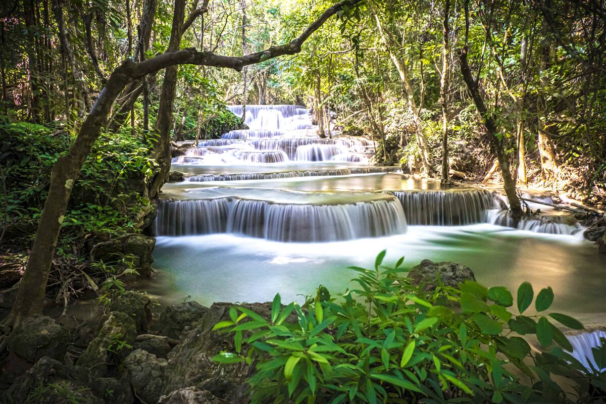 Фотошпалери лісові водоспади, що каскадом спадають на світанку