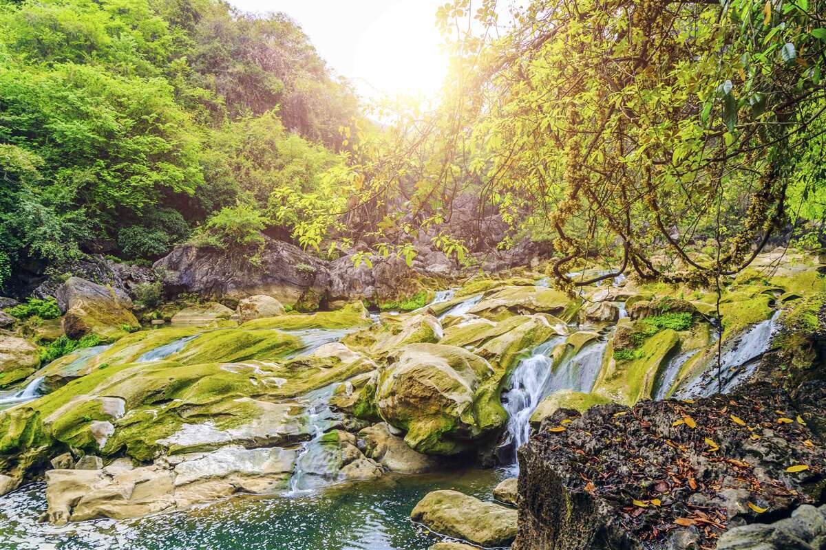 Фотошпалери схід сонця над річкою з її барвистою природою