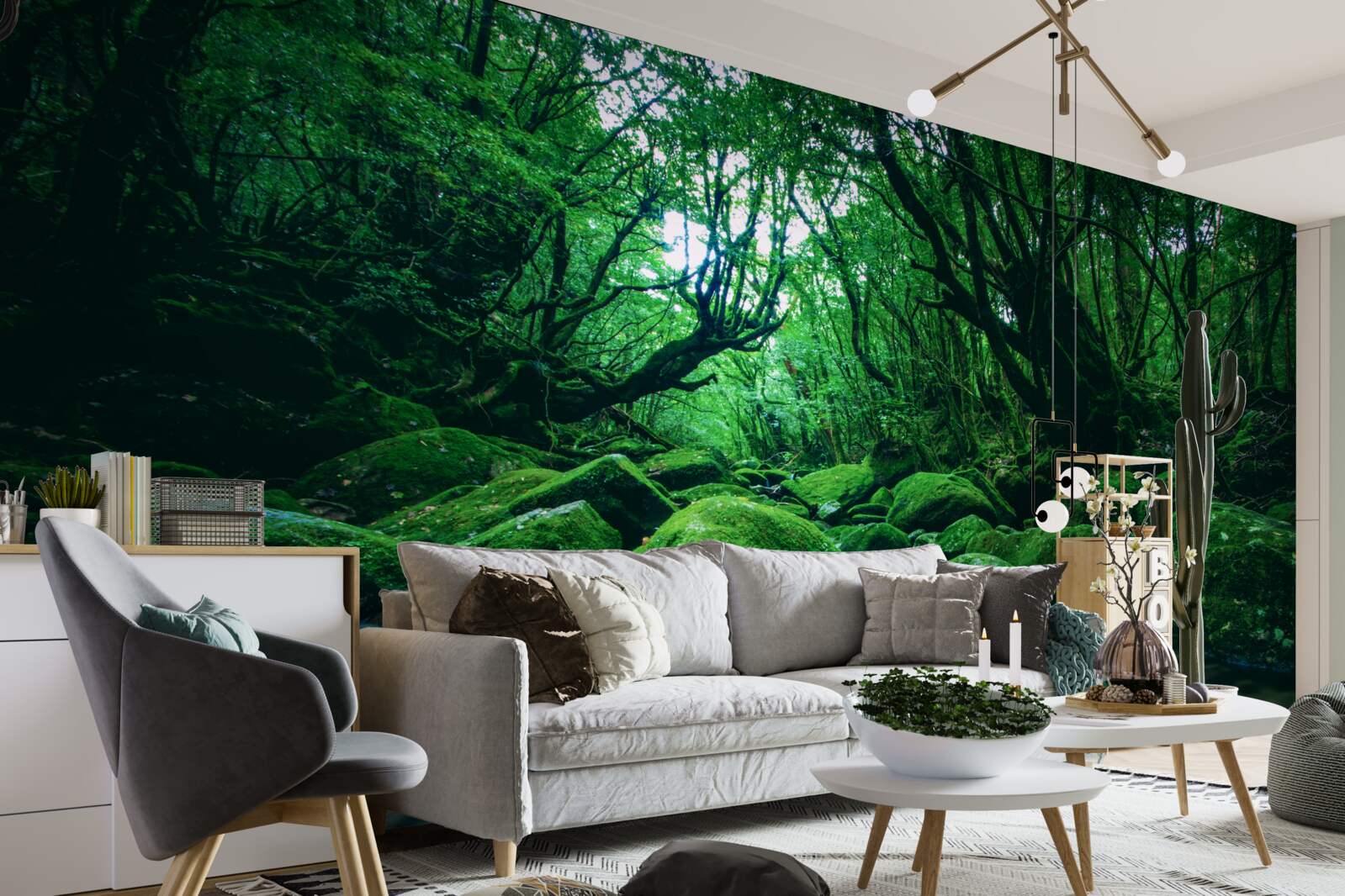 Фотошпалери ліс поринув у сон біля підніжжя водоспаду