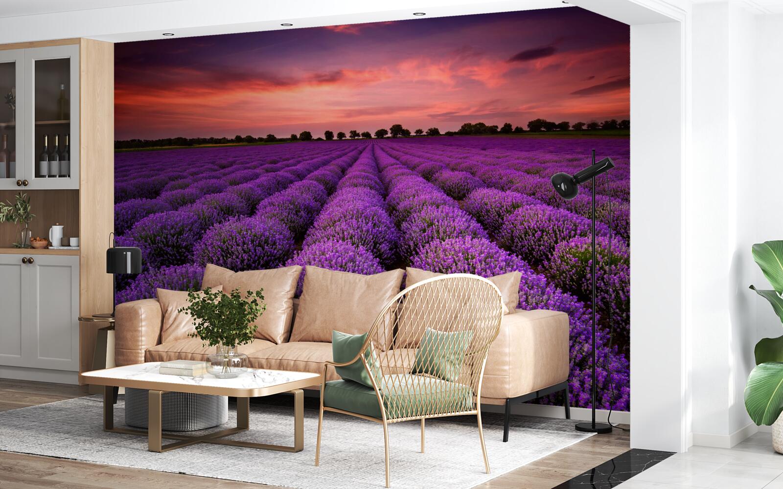 Фотошпалери чудове поле лаванди
