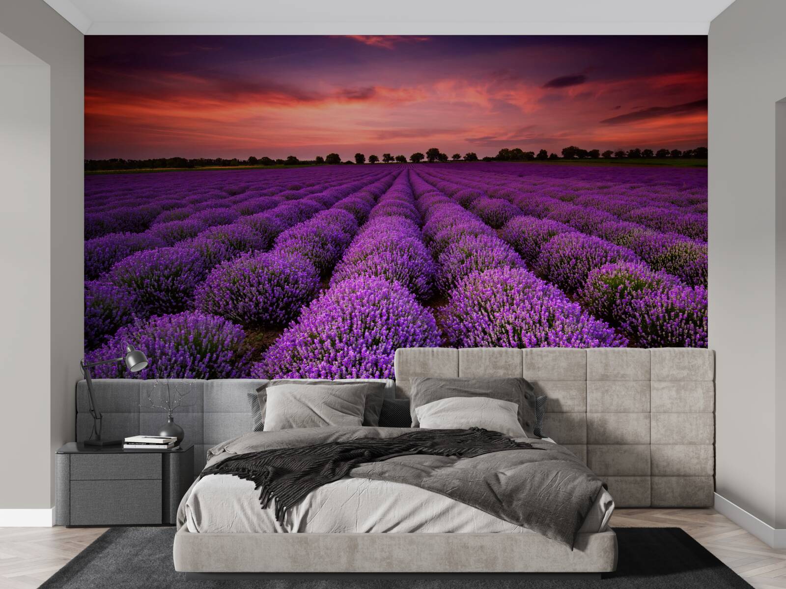 Фотошпалери чудове поле лаванди