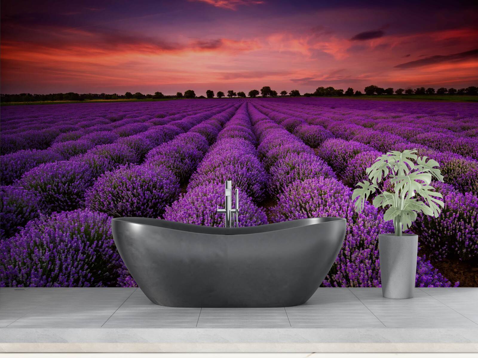 Фотошпалери чудове поле лаванди
