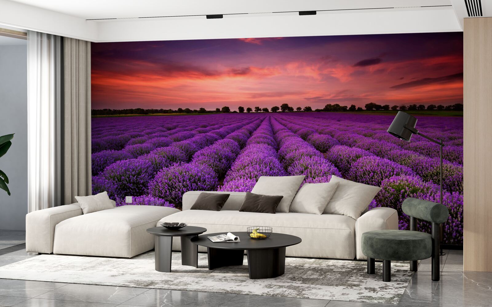 Фотошпалери чудове поле лаванди
