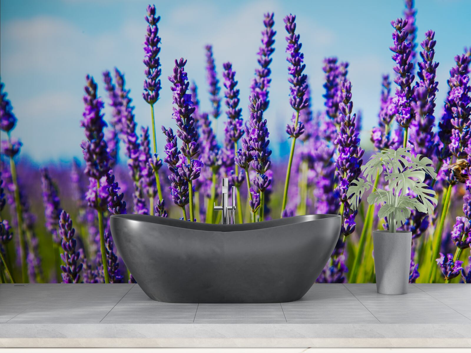 Фотошпалери фіолетова лаванда на тлі блакитного неба