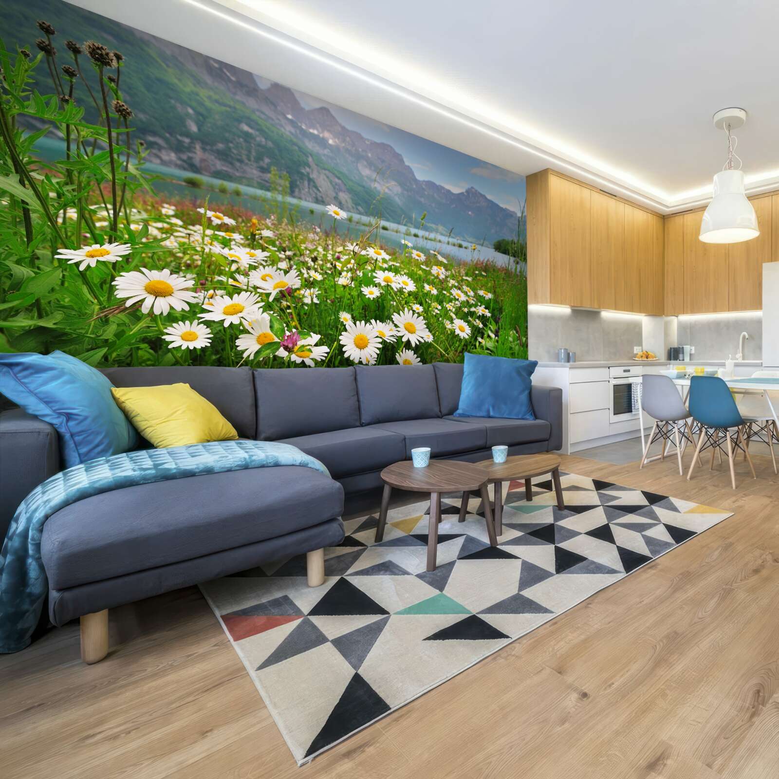 Фотошпалери пейзаж з ромашковим полем біля підніжжя гір