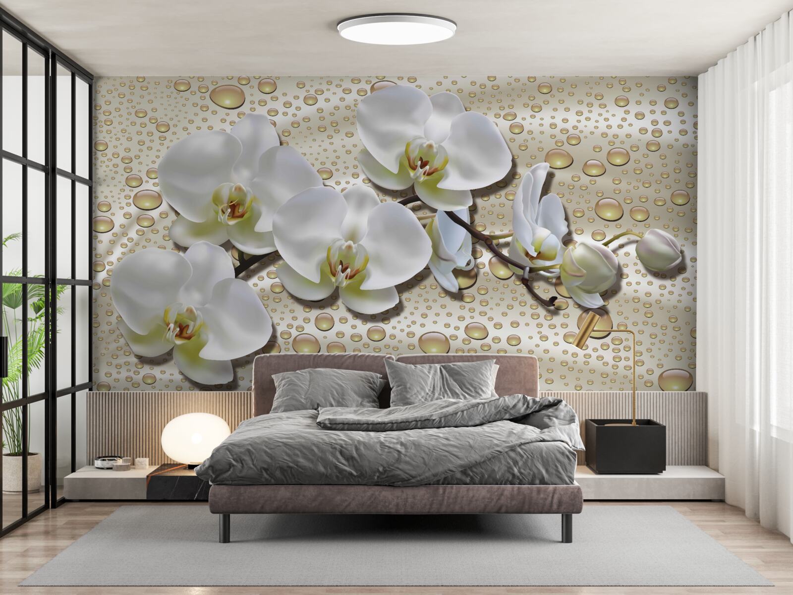 Фотошпалери гілка білої орхідеї, зволожена дощем на шовку