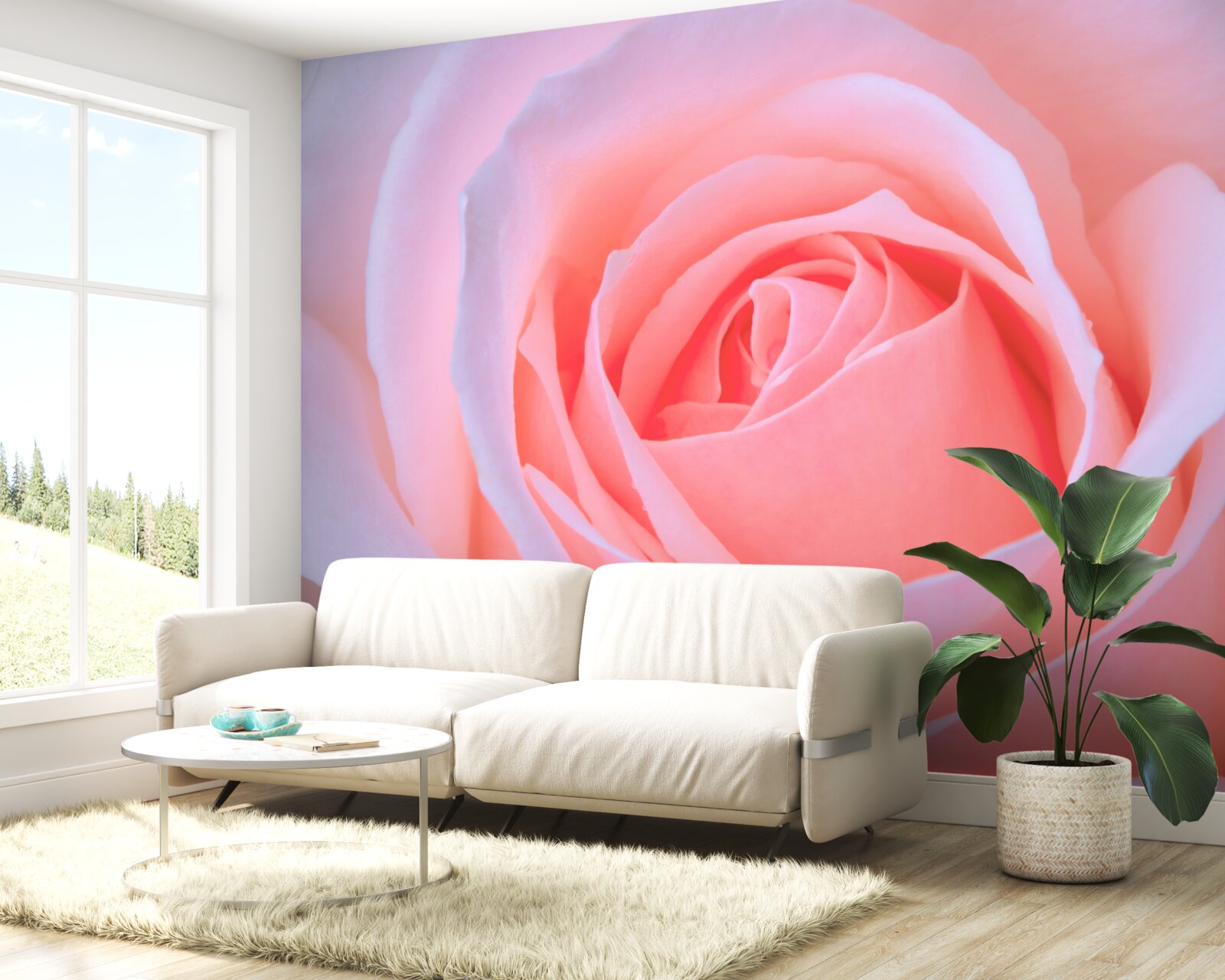 Фотошпалери ніжна троянда з красивими рожевими пелюстками