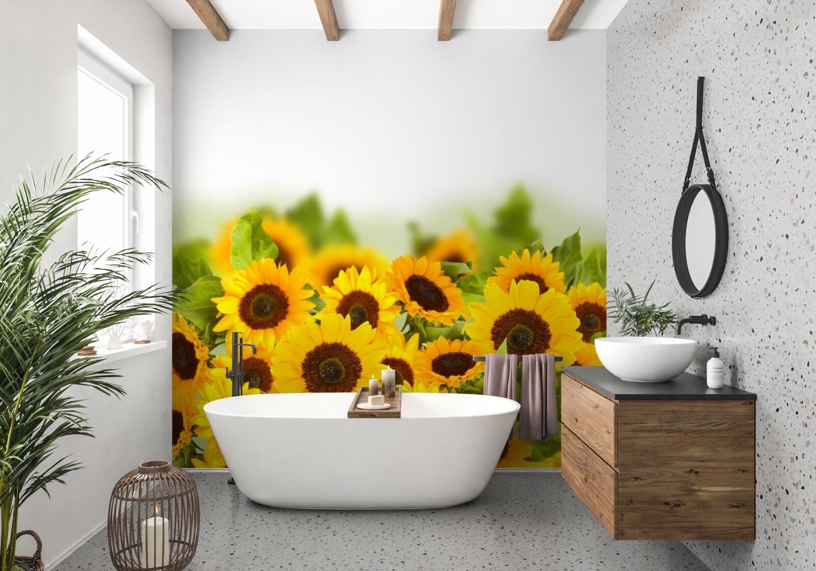 Фотошпалери поле, прикрашене різнокольоровими соняшниками