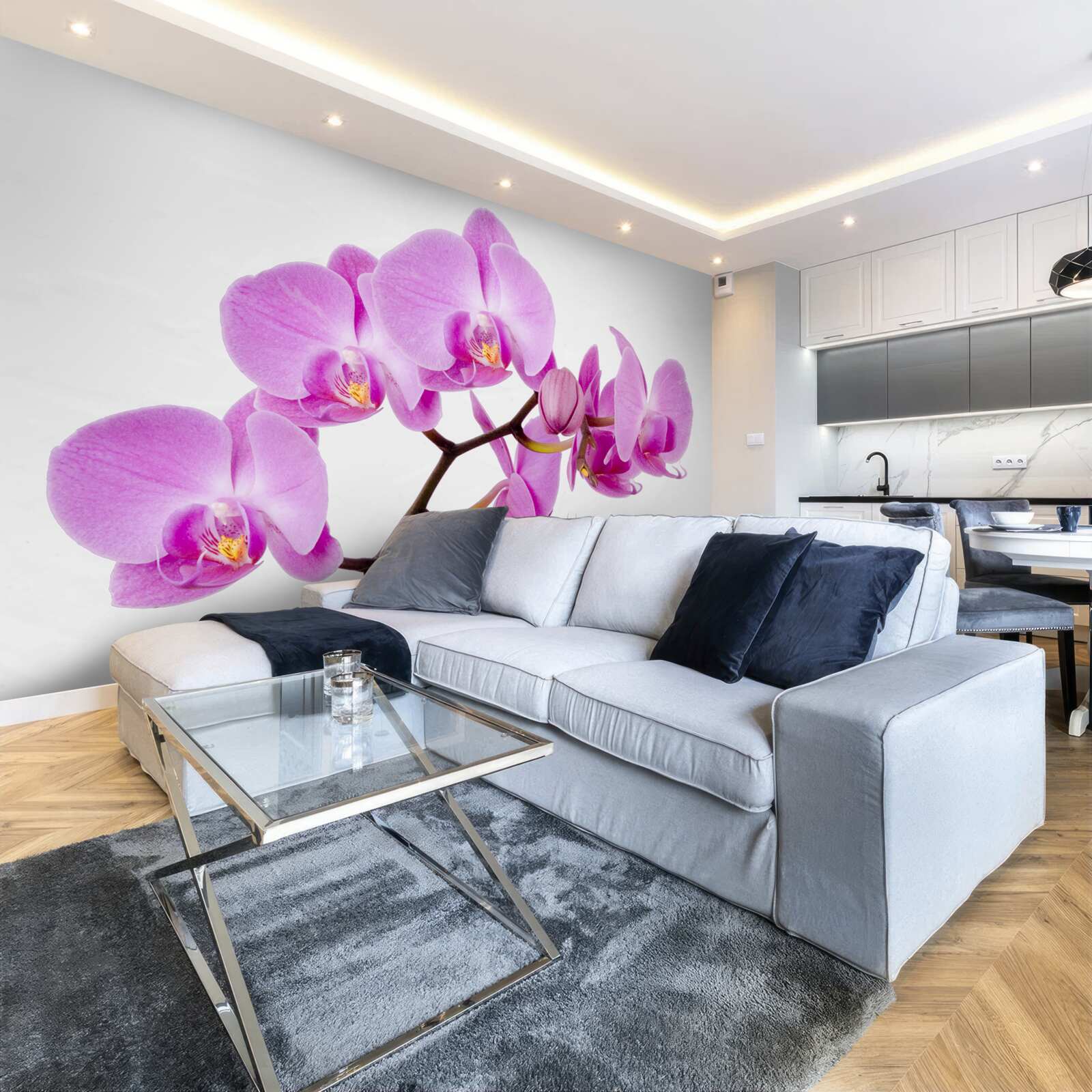 Фотошпалери фіолетова орхідея афродіта