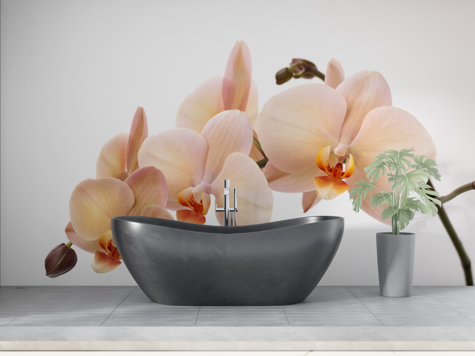 Фотошпалери ізольована гілка персикової орхідеї