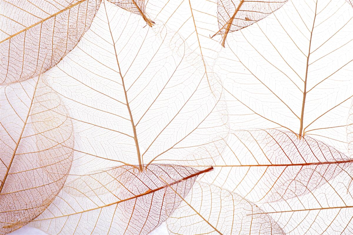 Фотошпалери прозорі простирадла в ніжному рожевому відтінку