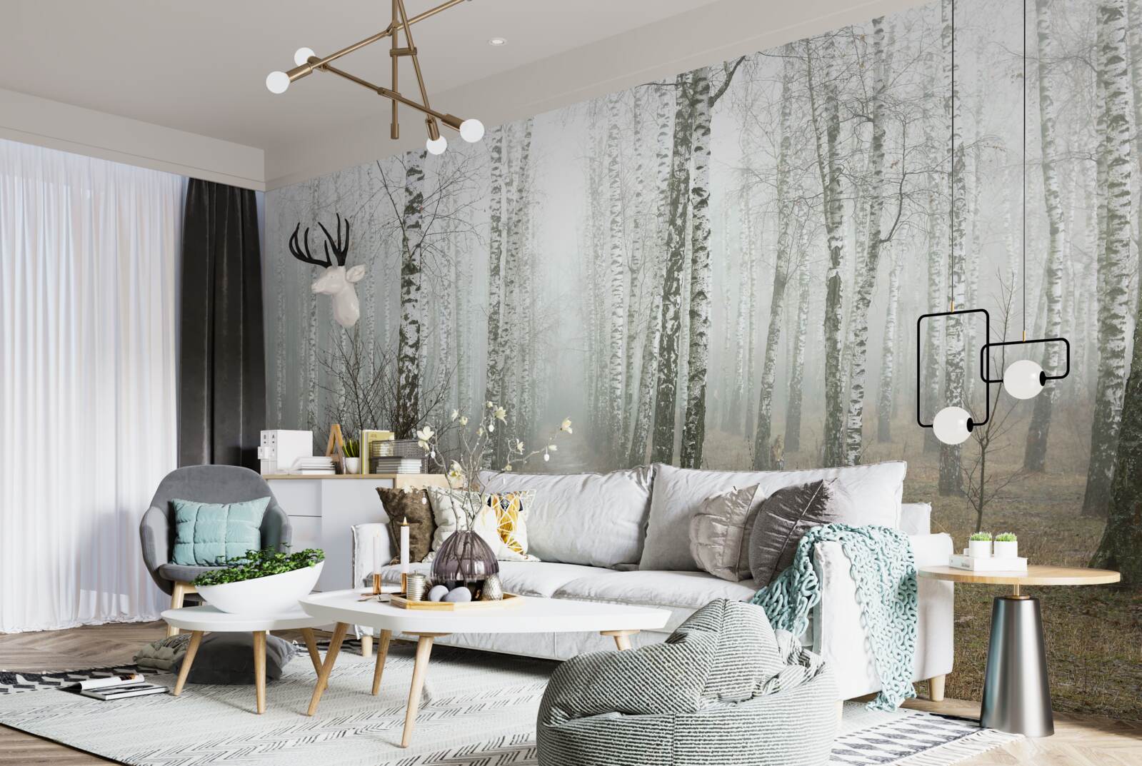 Фотошпалери Шлях через туманний ліс, повний беріз