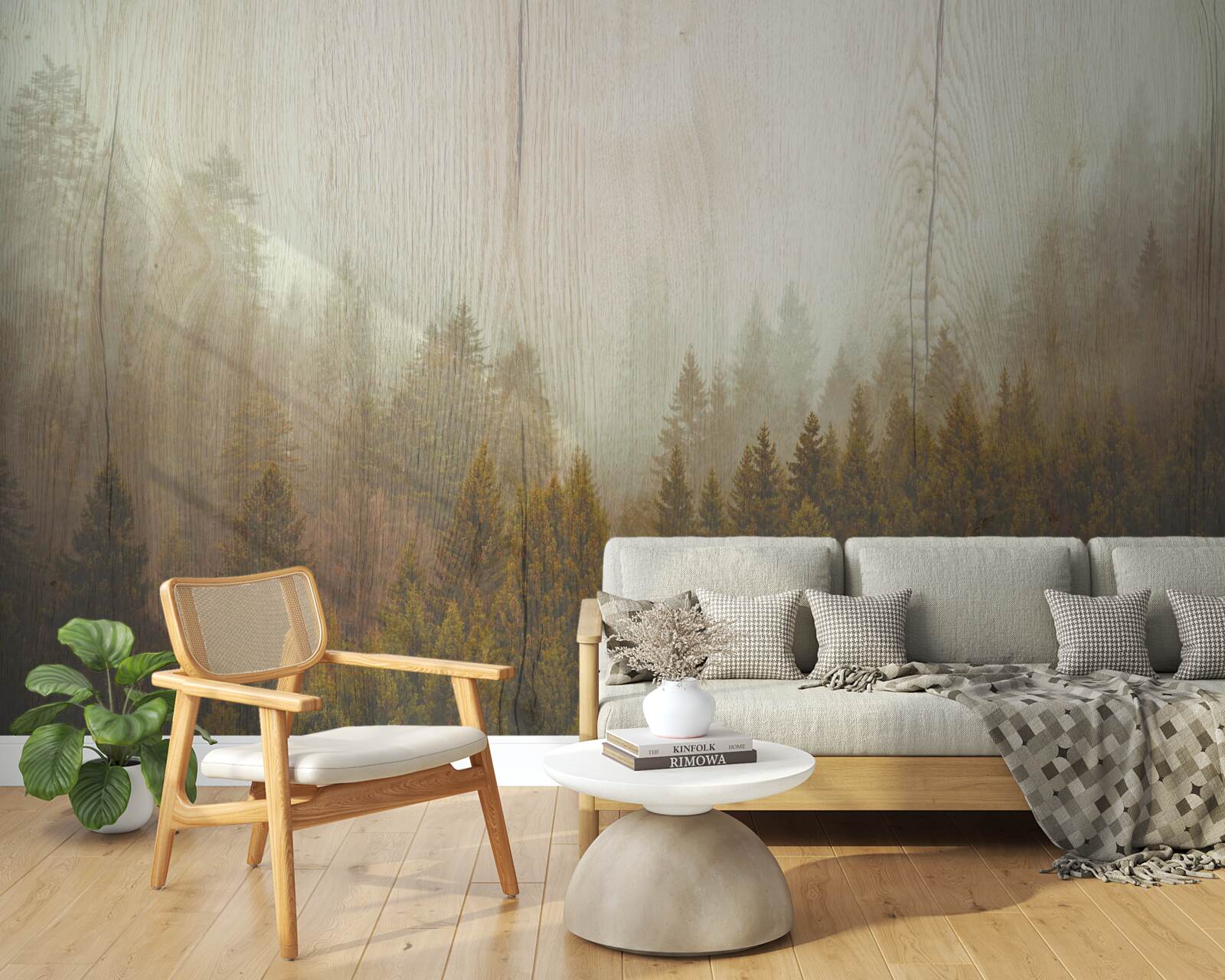 Фотошпалери туманний ліс восени