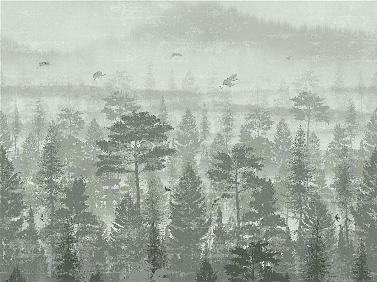 Фотошпалери тропічні ліси в періоди сильних дощів