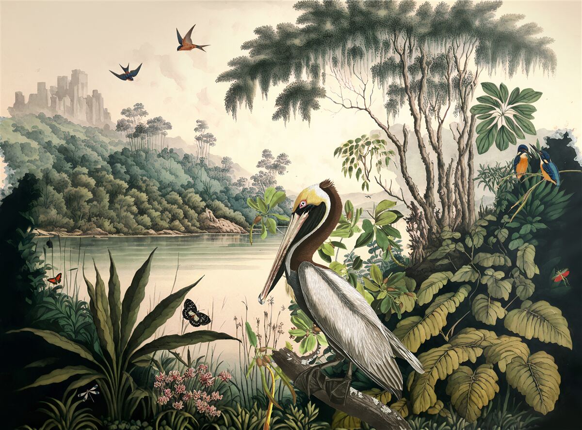 Фотошпалери пелікан шукає їжу в озерних водах